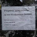 Варю дило в России