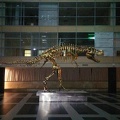 Dinosaur