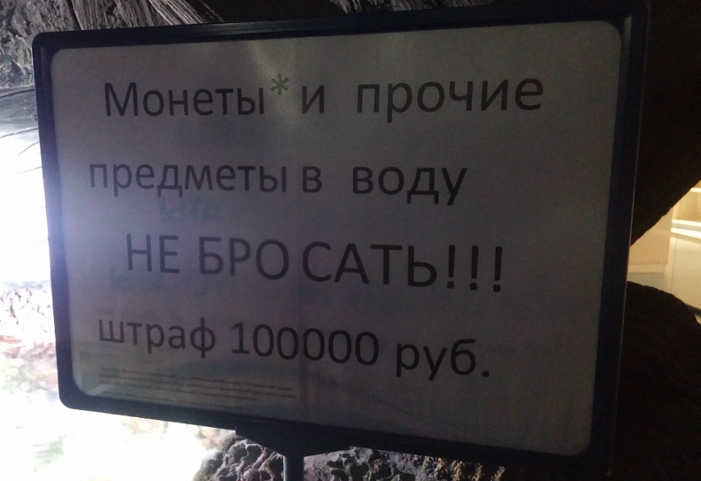 100000.jpg