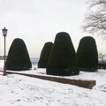 Trees