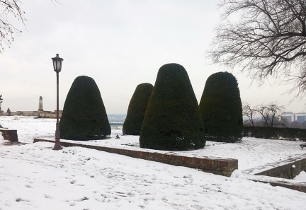 Trees