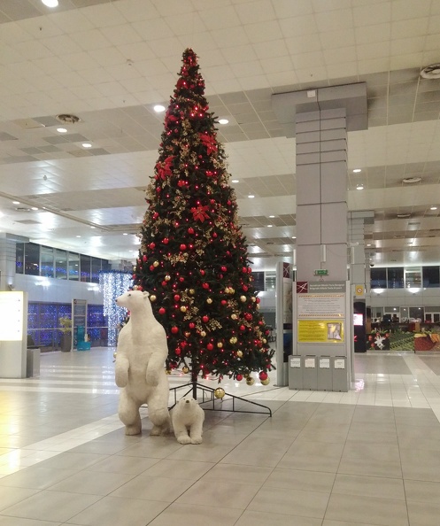 christmas-tree.jpg