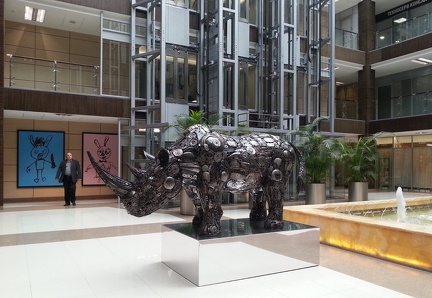 Rhino