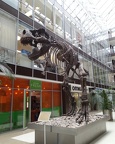 Tyrannosaurus Rex