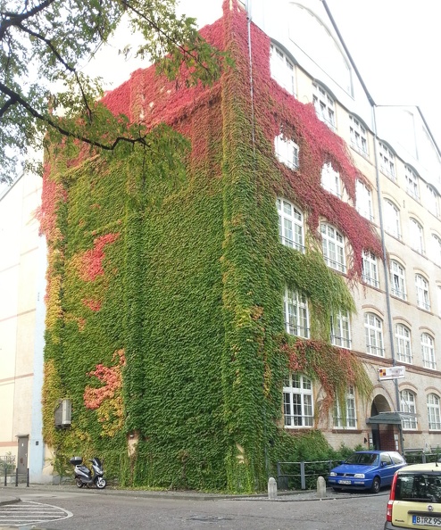 multi-storey-plant.jpg