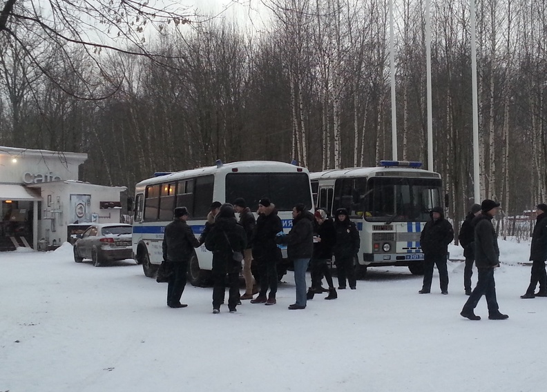 buses.jpg