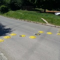 Speed bump