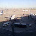 Aeroflot