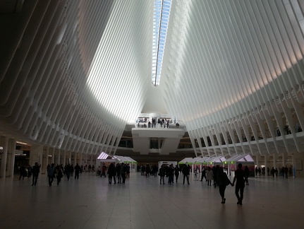 Oculus