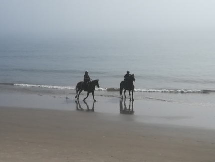 Mounted Police