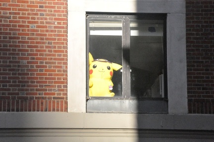 Pokémon